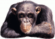 ommi00844's Avatar